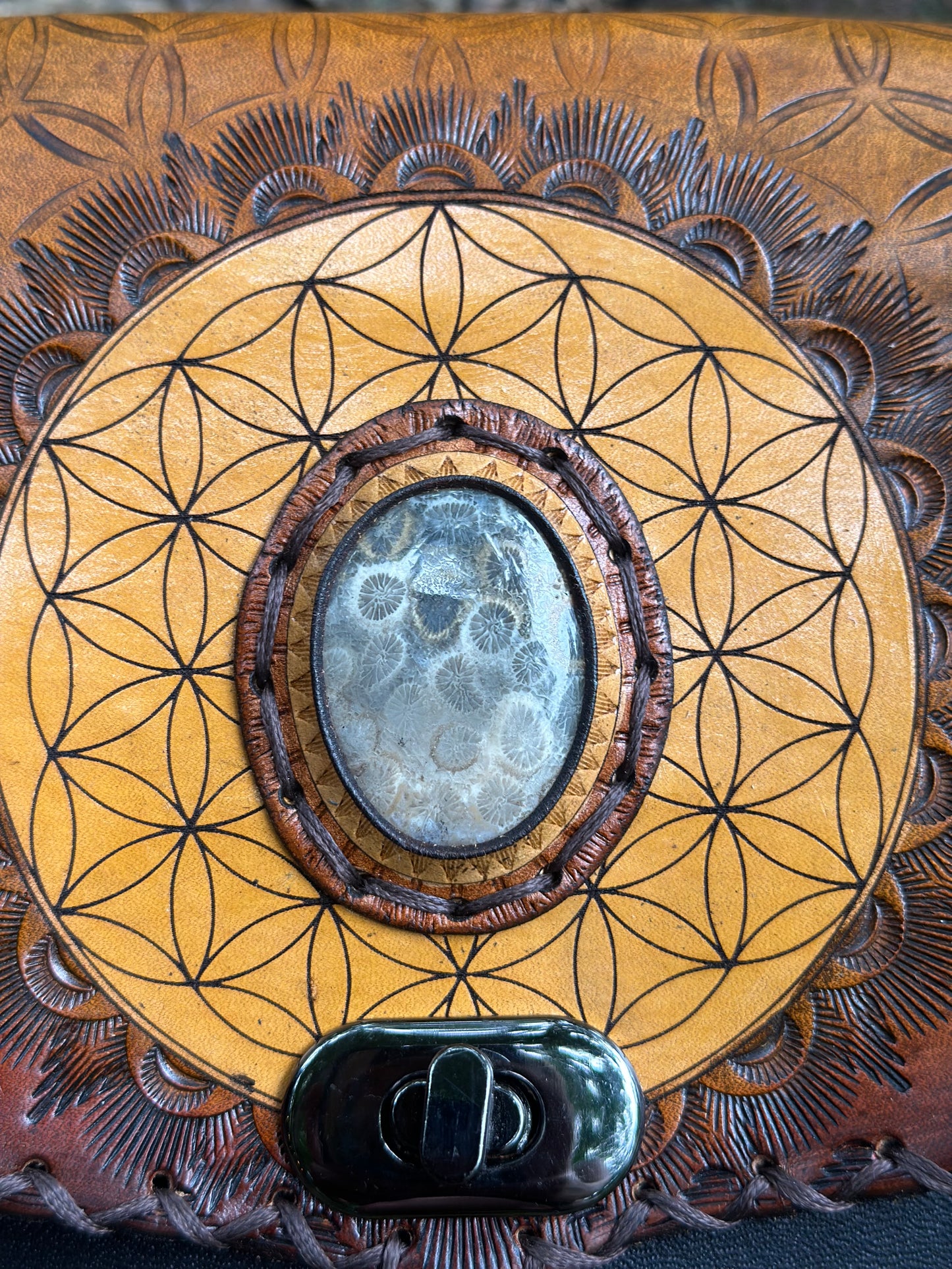 The Terra Collection - Fossilized Coral