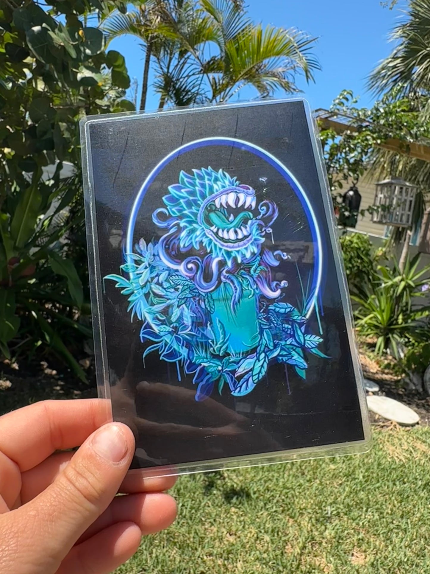 "Venus Fly Trap" Prints